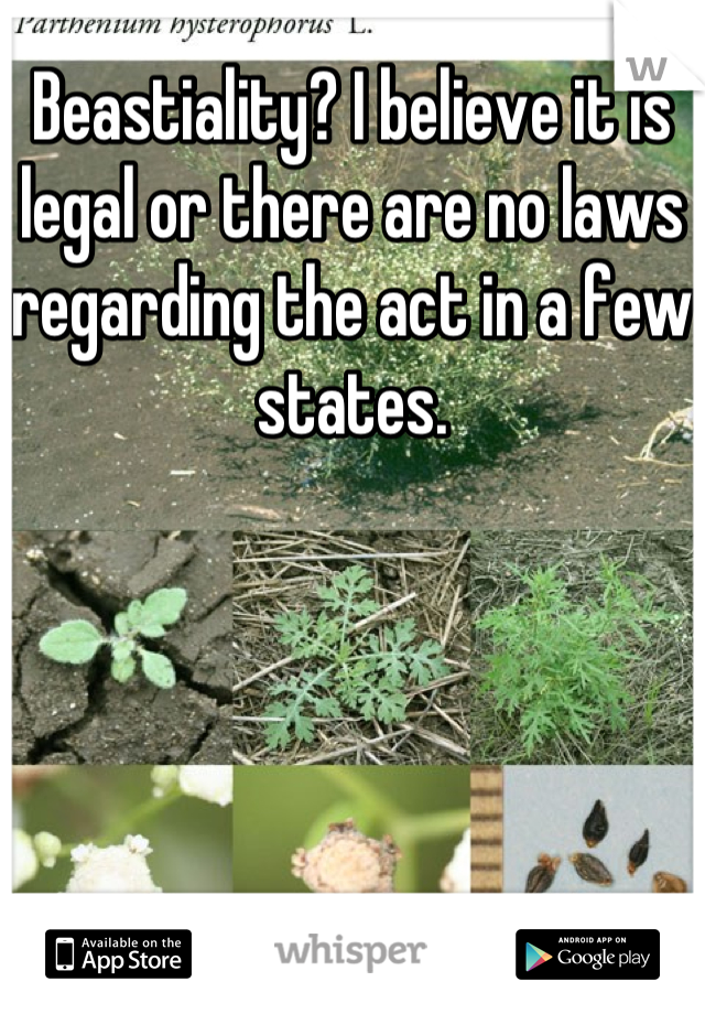 Beastiality? I believe it is legal or there are no laws regarding the act in a few states.