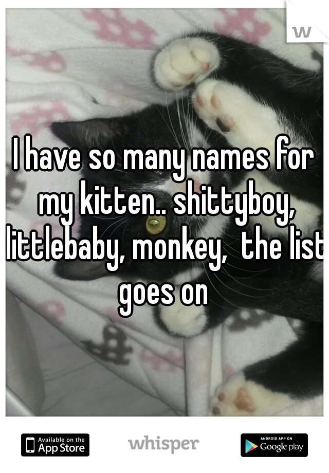 I have so many names for my kitten.. shittyboy, littlebaby, monkey,  the list goes on 