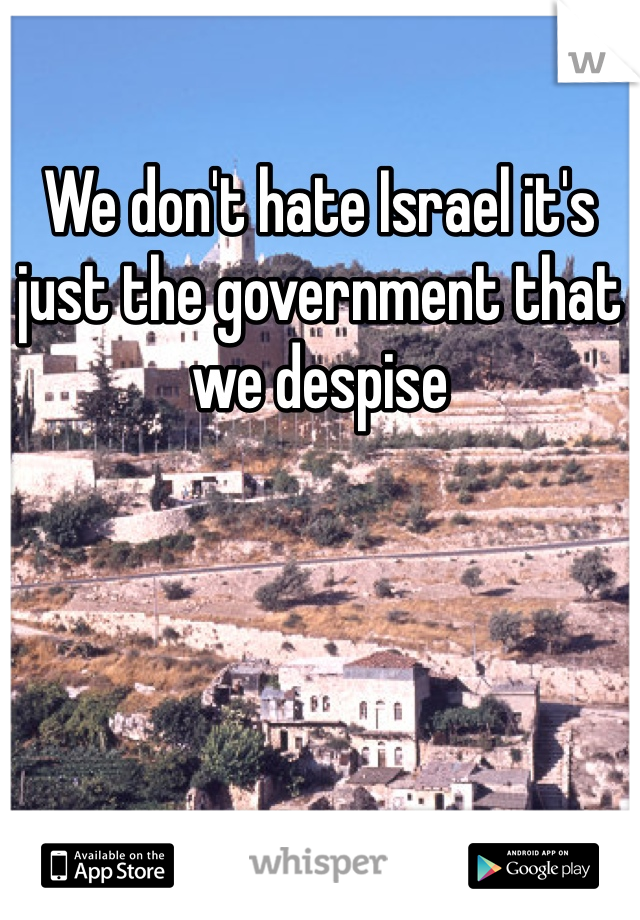 We don't hate Israel it's just the government that we despise 