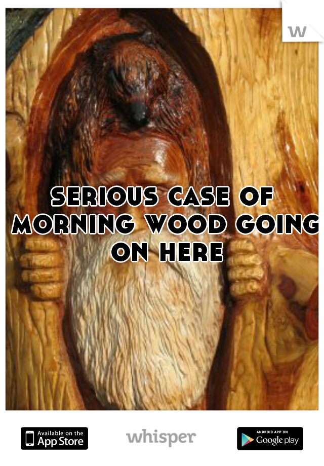 serious case of morning wood going on here