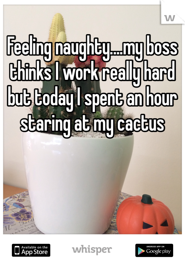 Feeling naughty....my boss thinks I work really hard but today I spent an hour staring at my cactus