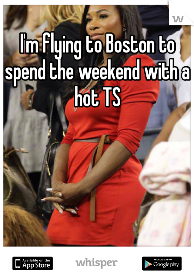 I'm flying to Boston to spend the weekend with a hot TS 