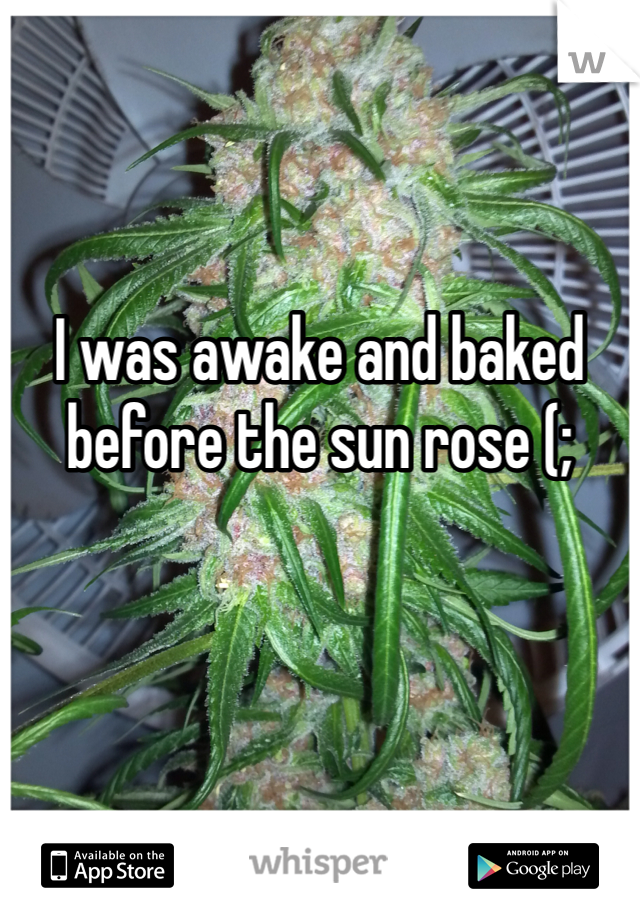 I was awake and baked before the sun rose (;