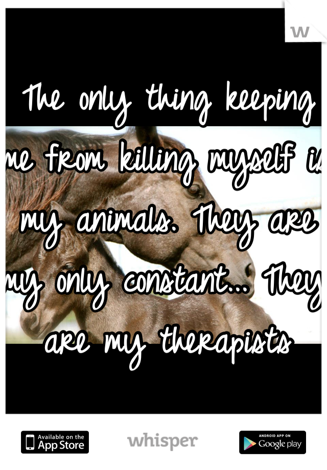 The only thing keeping me from killing myself is my animals. They are my only constant... They are my therapists