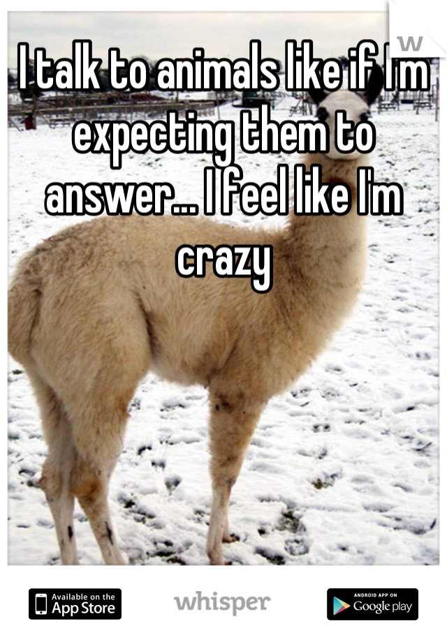 I talk to animals like if I'm expecting them to answer... I feel like I'm crazy