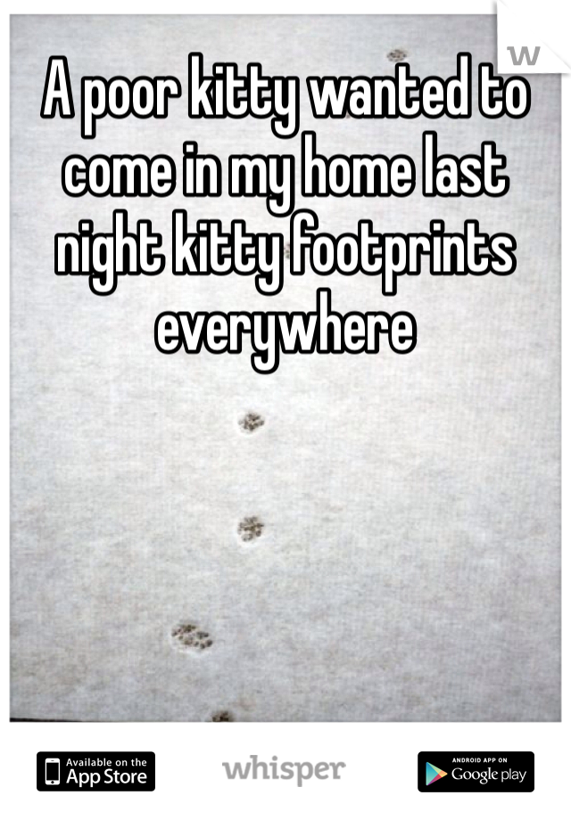 A poor kitty wanted to come in my home last night kitty footprints everywhere 