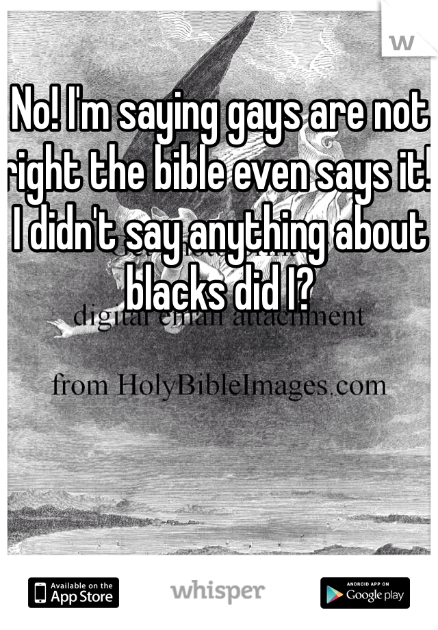 No! I'm saying gays are not right the bible even says it! I didn't say anything about blacks did I?
