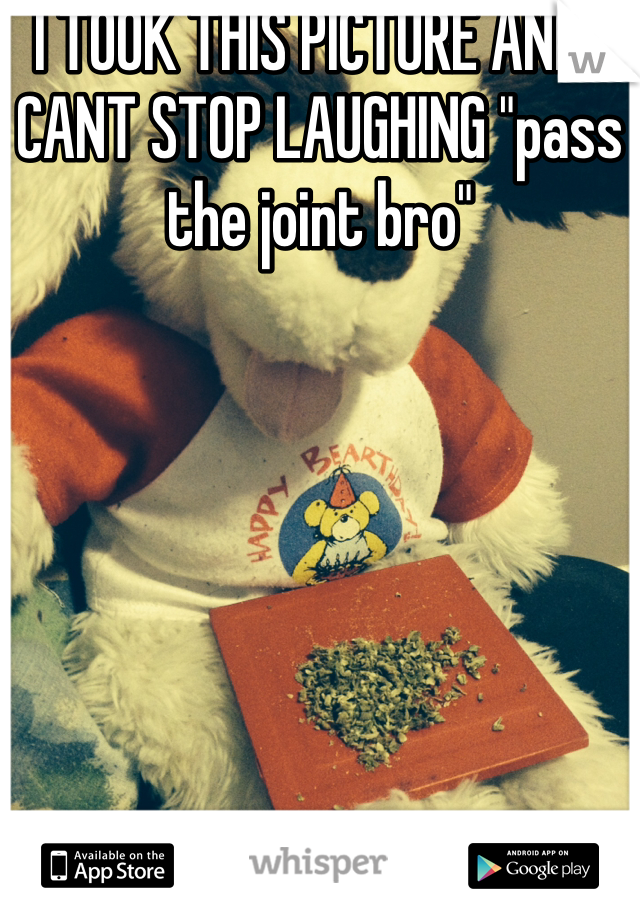 I TOOK THIS PICTURE AND I CANT STOP LAUGHING "pass the joint bro"