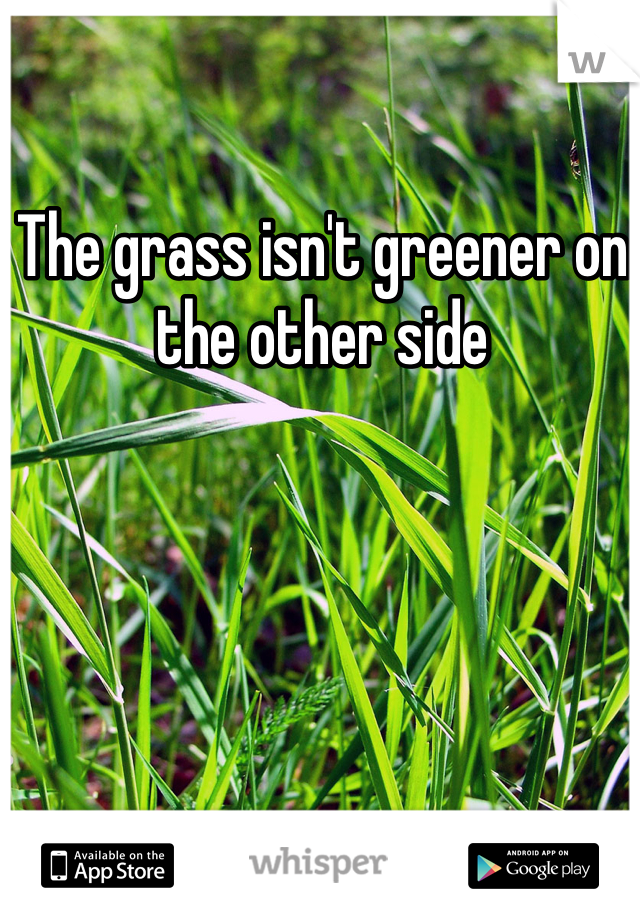 The grass isn't greener on the other side 