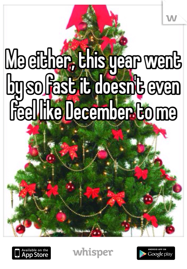 Me either, this year went by so fast it doesn't even feel like December to me