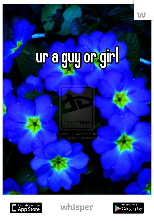 ur a guy or girl