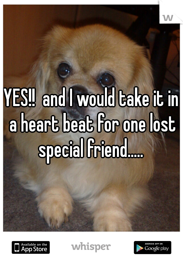YES!!  and I would take it in a heart beat for one lost special friend..... 