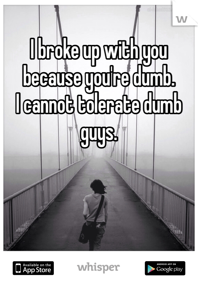 I broke up with you because you're dumb. 
I cannot tolerate dumb guys. 