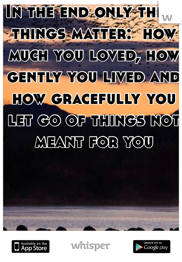 In the end only three things matter:  how much you loved, how gently you lived and how gracefully you let go of things not meant for you 