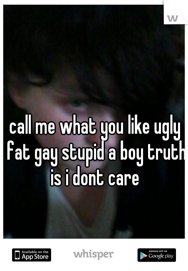 call me what you like ugly fat gay stupid a boy truth is i dont care 