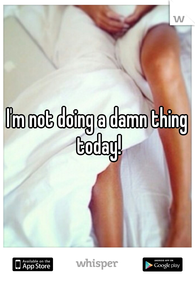I'm not doing a damn thing today!