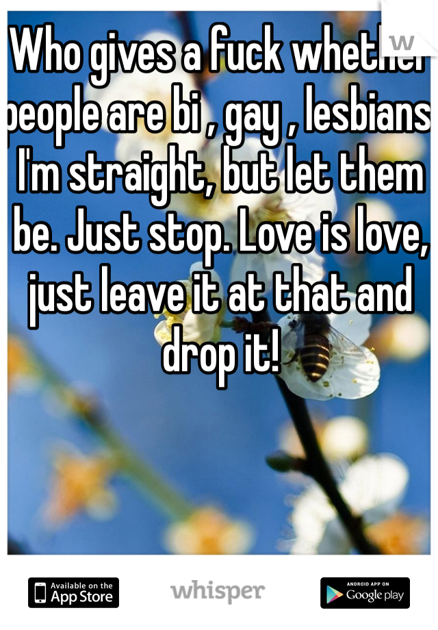 Who gives a fuck whether people are bi , gay , lesbians. I'm straight, but let them be. Just stop. Love is love, just leave it at that and drop it! 
