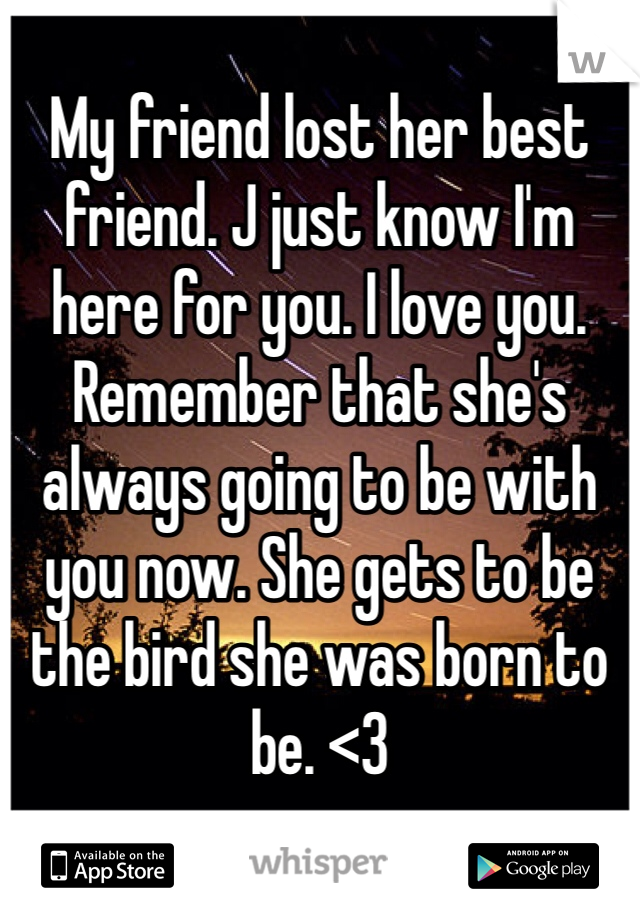 My friend lost her best friend. J just know I'm here for you. I love you. Remember that she's always going to be with you now. She gets to be the bird she was born to be. <3 