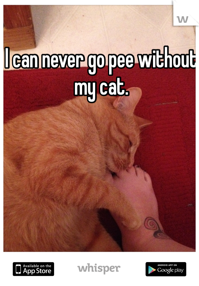 I can never go pee without my cat. 
