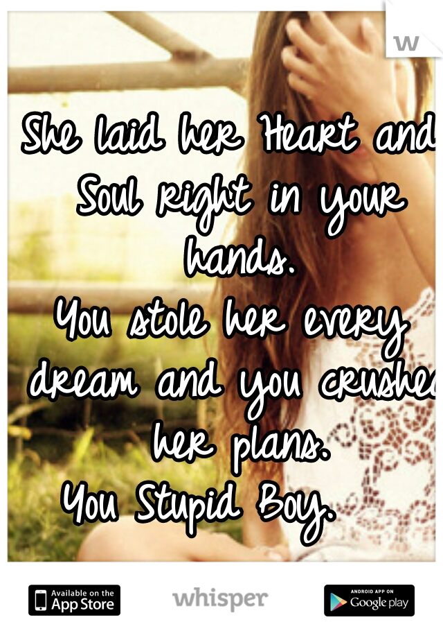 She laid her Heart and Soul right in your hands.

You stole her every dream and you crushed her plans.

You Stupid Boy.   