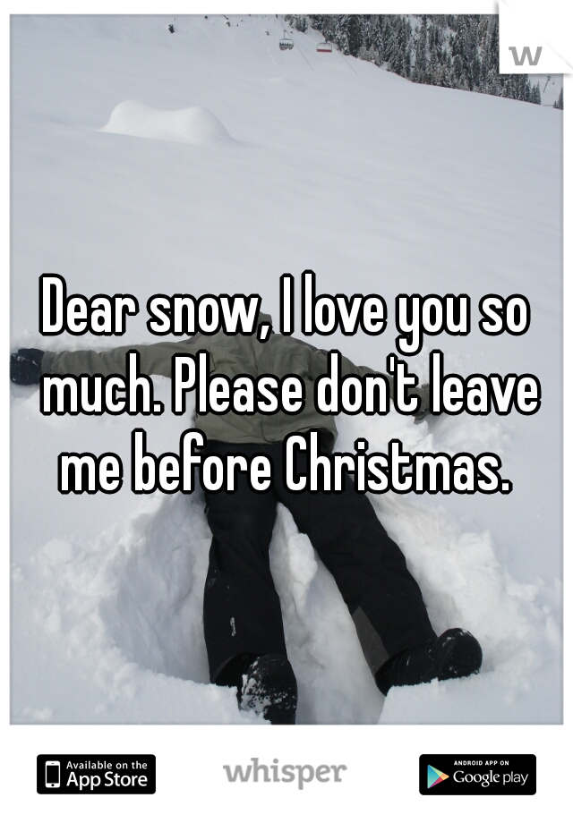 Dear snow, I love you so much. Please don't leave me before Christmas. 