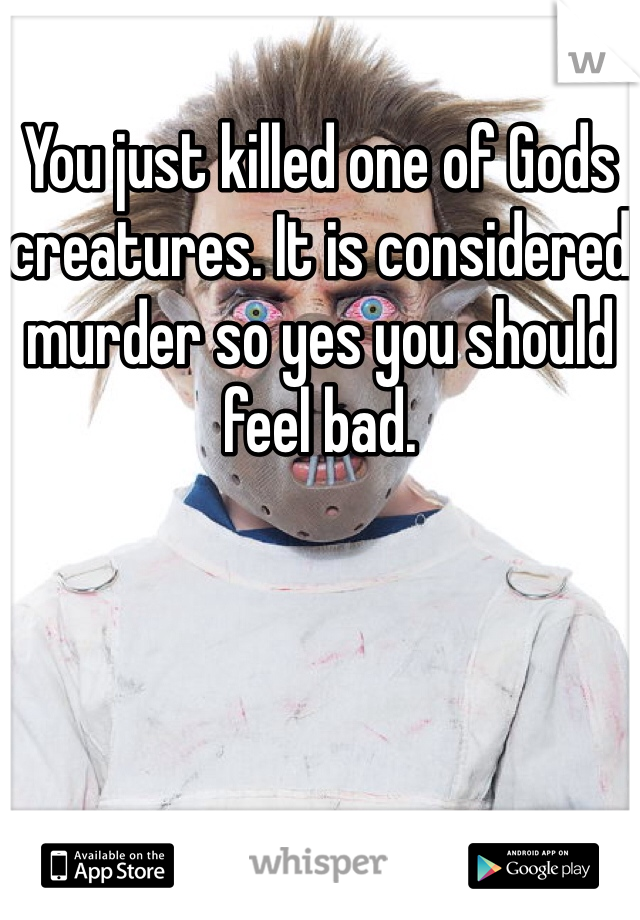 You just killed one of Gods creatures. It is considered murder so yes you should feel bad.
