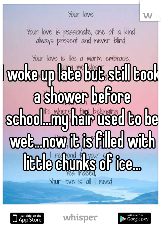 I woke up late but still took a shower before school...my hair used to be wet...now it is filled with little chunks of ice...