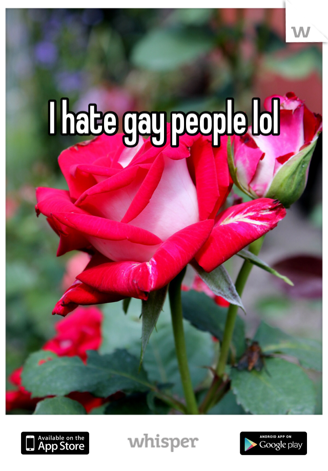 I hate gay people lol