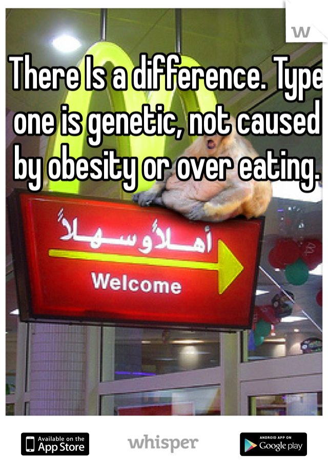 There Is a difference. Type one is genetic, not caused by obesity or over eating. 