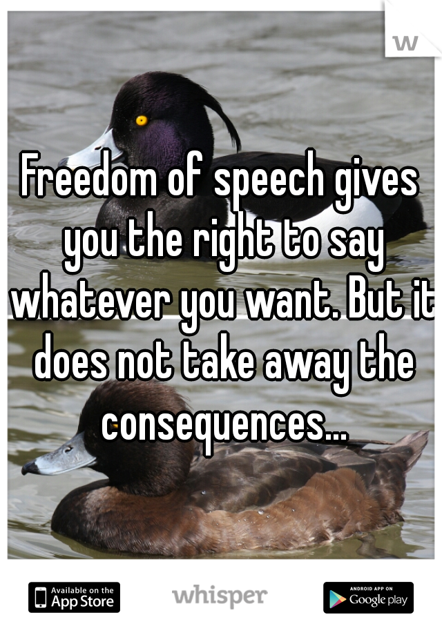 Freedom of speech gives you the right to say whatever you want. But it does not take away the consequences...