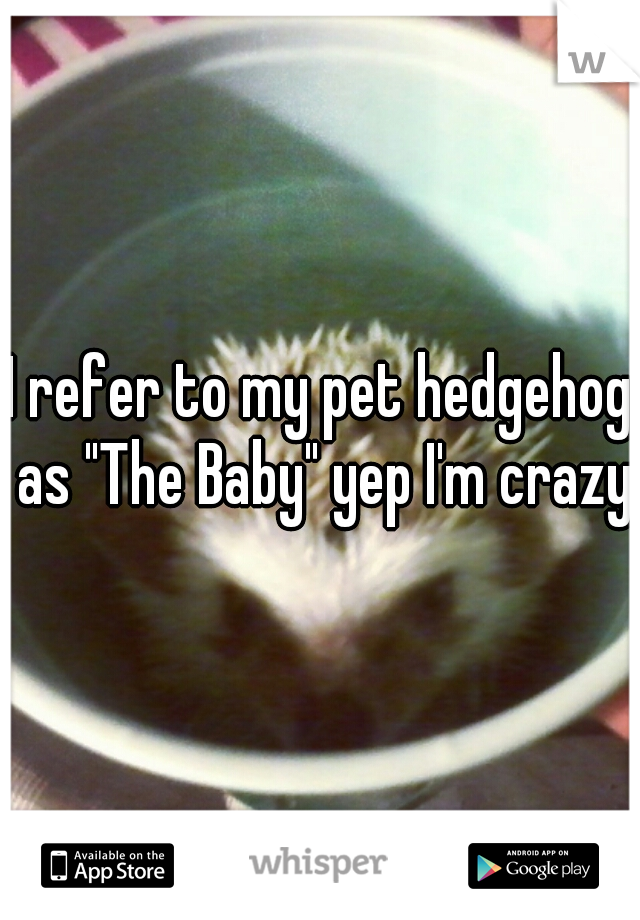 I refer to my pet hedgehog as "The Baby" yep I'm crazy!