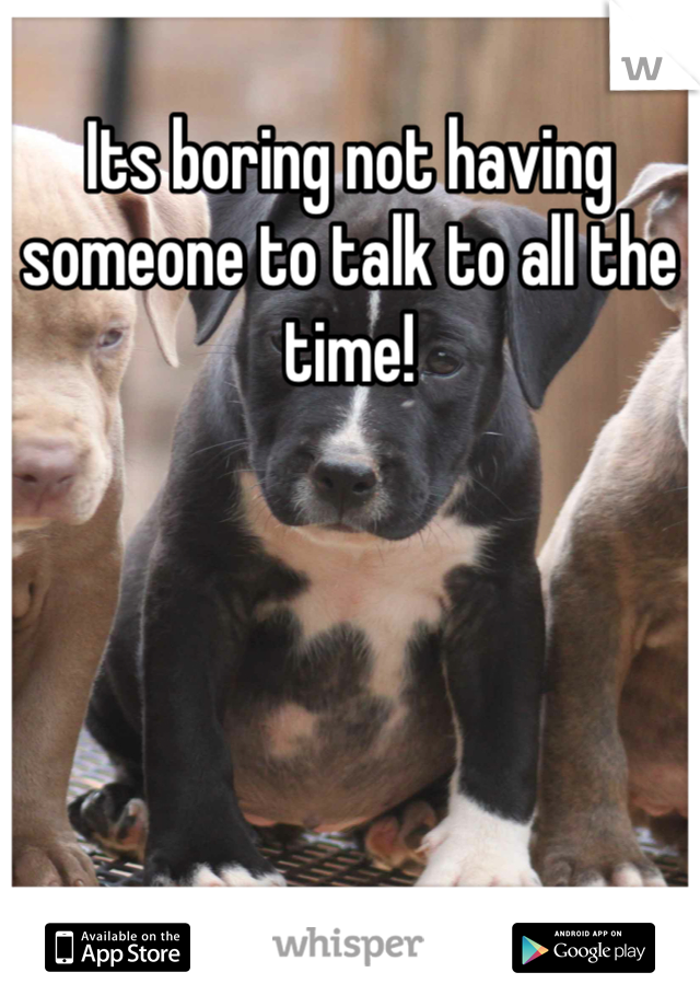 Its boring not having someone to talk to all the time! 