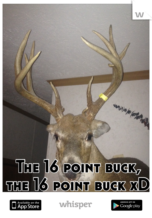 The 16 point buck, the 16 point buck xD