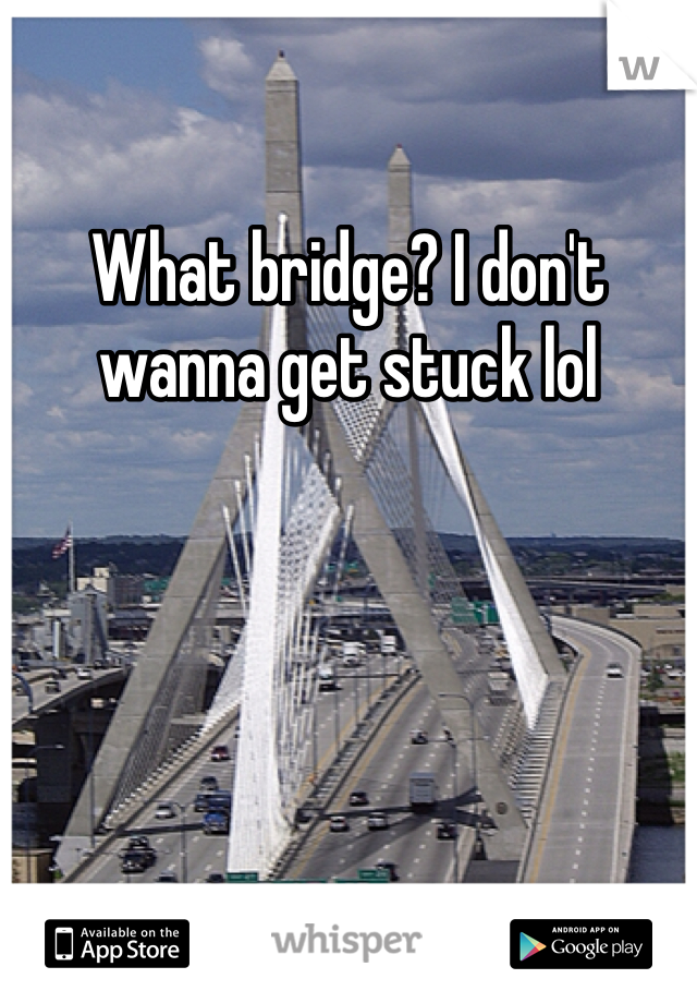 What bridge? I don't wanna get stuck lol