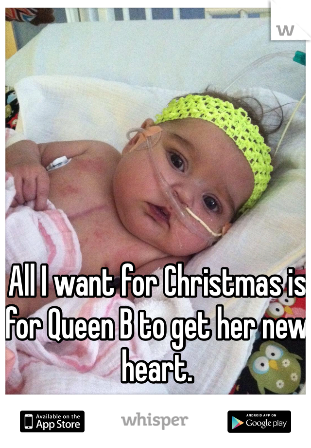 All I want for Christmas is for Queen B to get her new heart. 