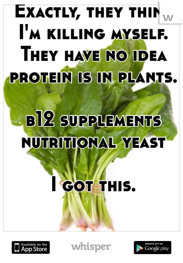 Exactly, they think I'm killing myself. They have no idea protein is in plants. 

b12 supplements 
nutritional yeast

I got this.