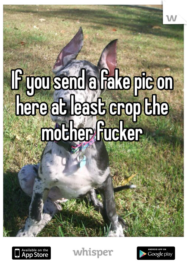 If you send a fake pic on here at least crop the mother fucker 