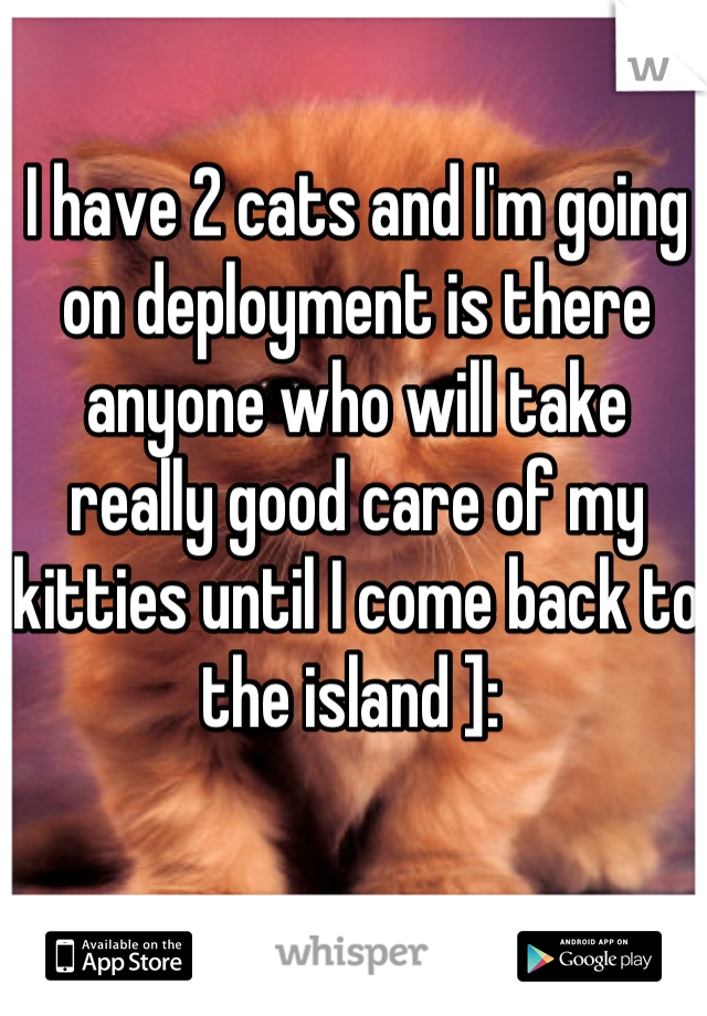 I have 2 cats and I'm going on deployment is there anyone who will take really good care of my kitties until I come back to the island ]: 