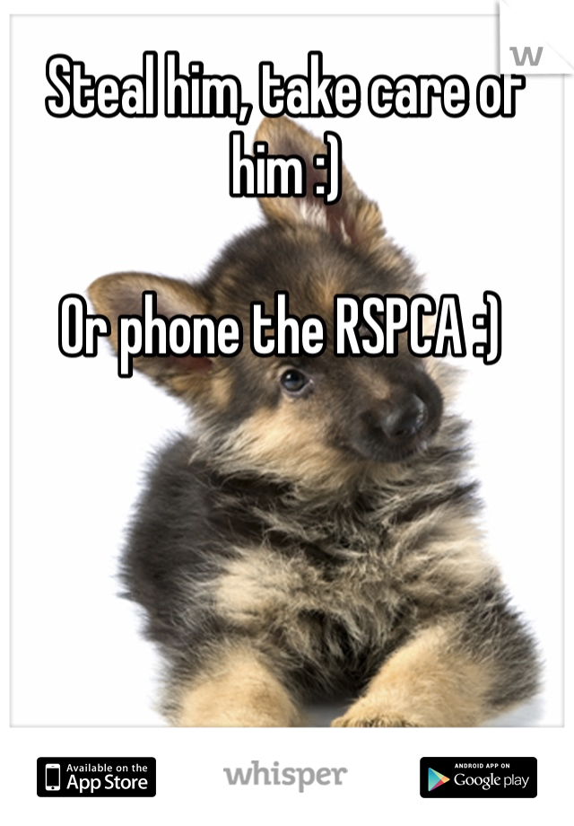 Steal him, take care of him :) 

Or phone the RSPCA :) 