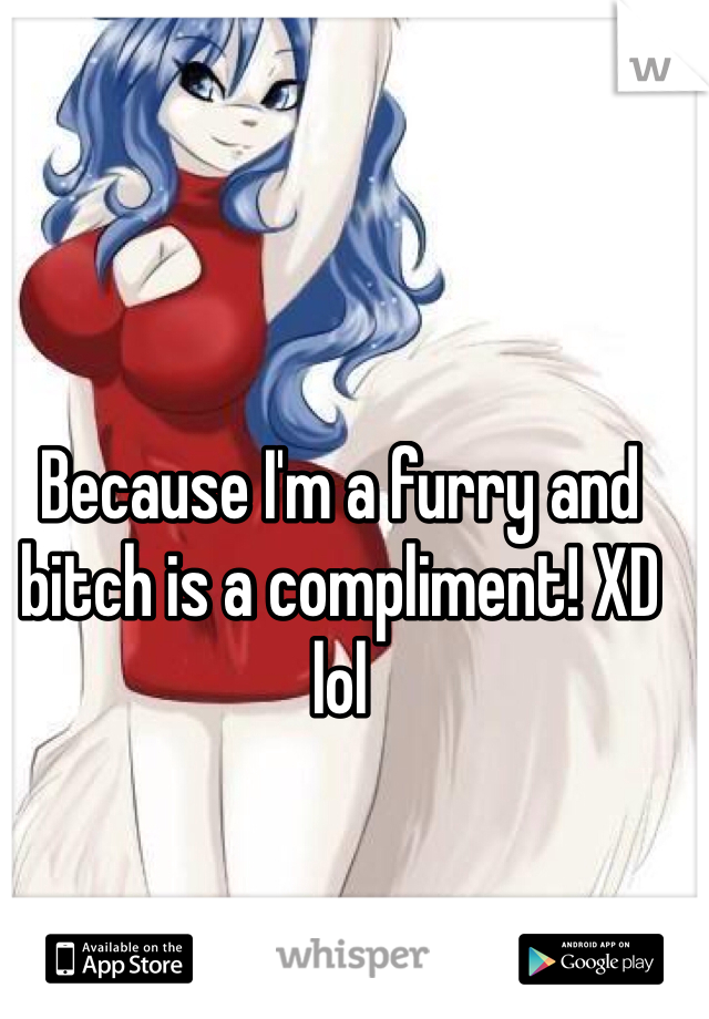 Because I'm a furry and bitch is a compliment! XD lol 