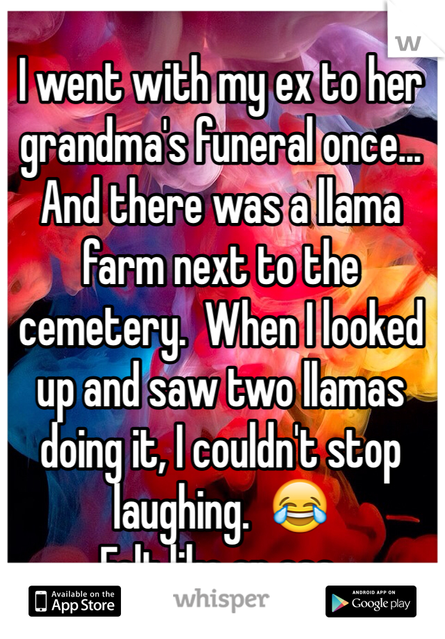 I went with my ex to her grandma's funeral once...  And there was a llama farm next to the cemetery.  When I looked up and saw two llamas doing it, I couldn't stop laughing.  😂
Felt like an ass.