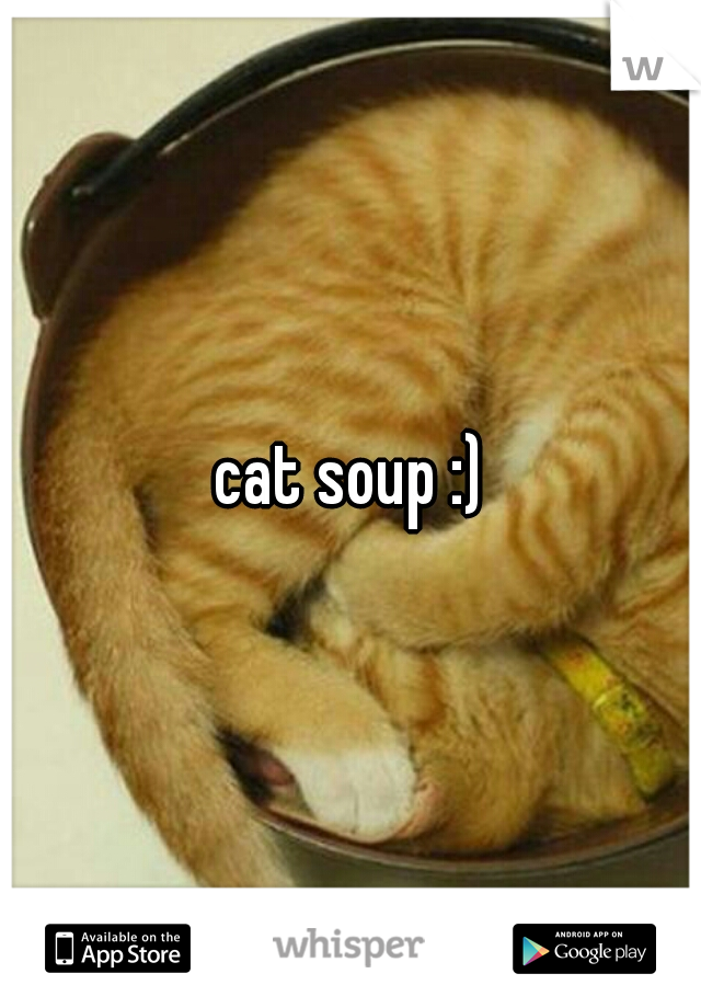 cat soup :)

