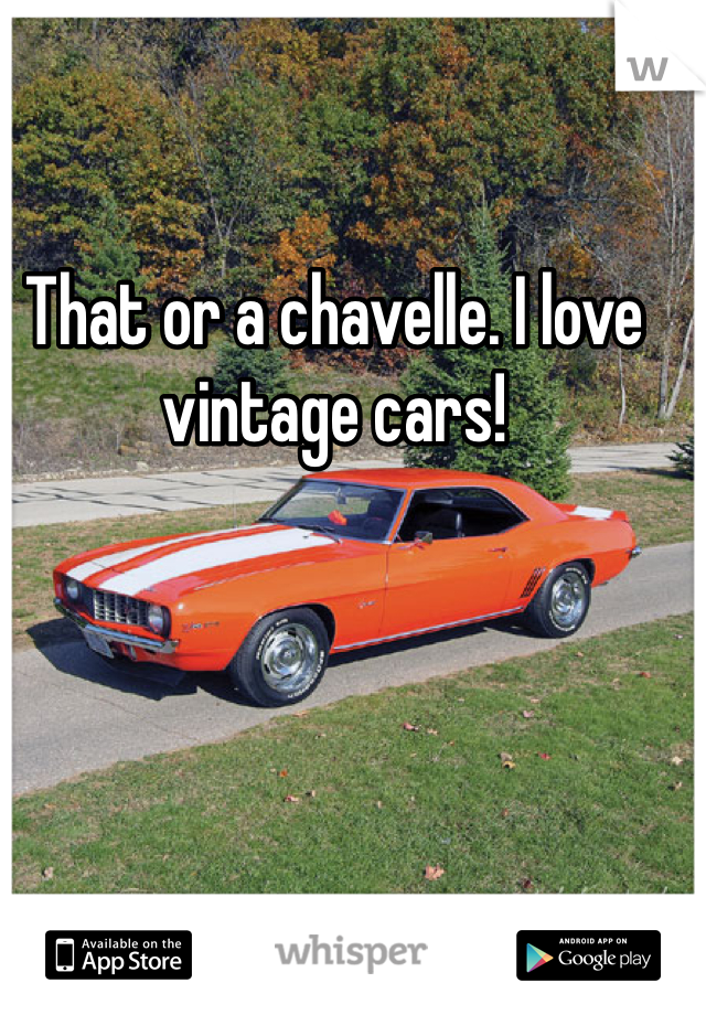 That or a chavelle. I love vintage cars! 