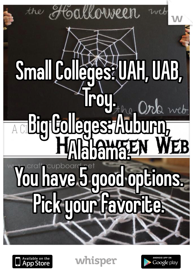 Small Colleges: UAH, UAB, Troy. 
Big Colleges: Auburn, Alabama. 
You have 5 good options. Pick your favorite. 