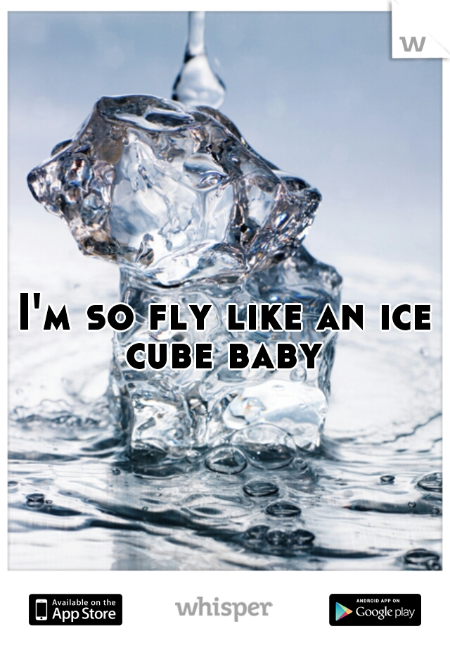 I'm so fly like an ice cube baby 
