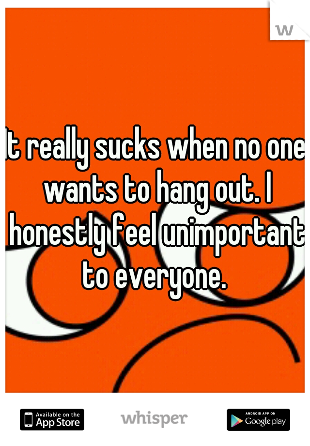 It really sucks when no one wants to hang out. I honestly feel unimportant to everyone. 