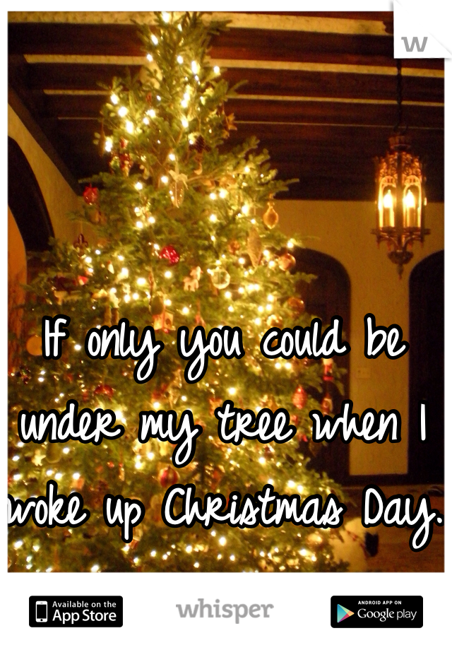 If only you could be under my tree when I woke up Christmas Day.