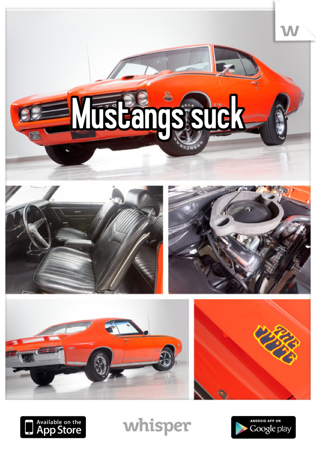 Mustangs suck