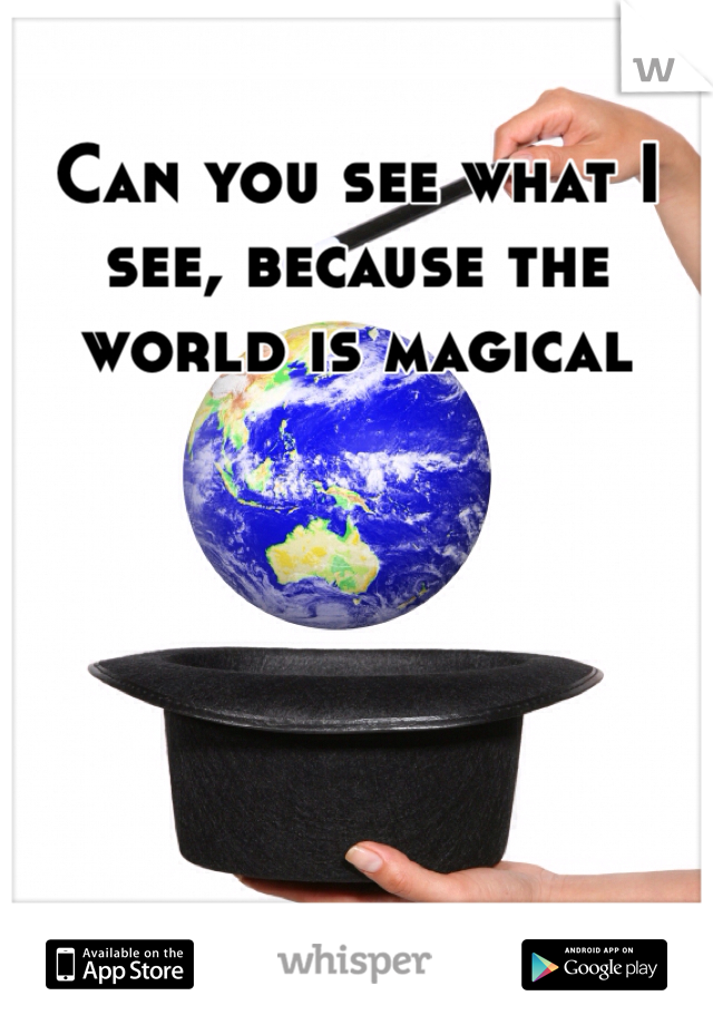Can you see what I see, because the world is magical

