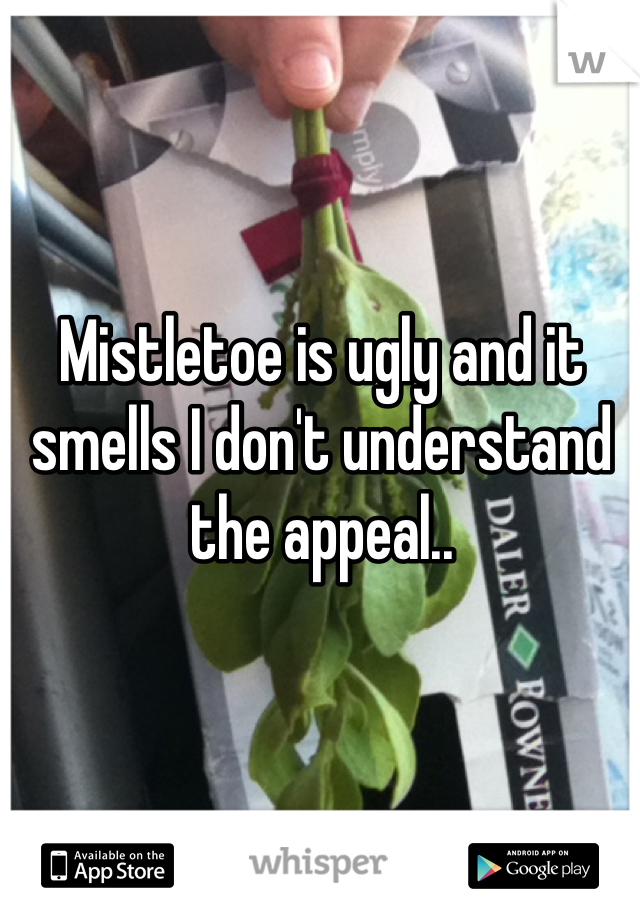 Mistletoe is ugly and it smells I don't understand the appeal..